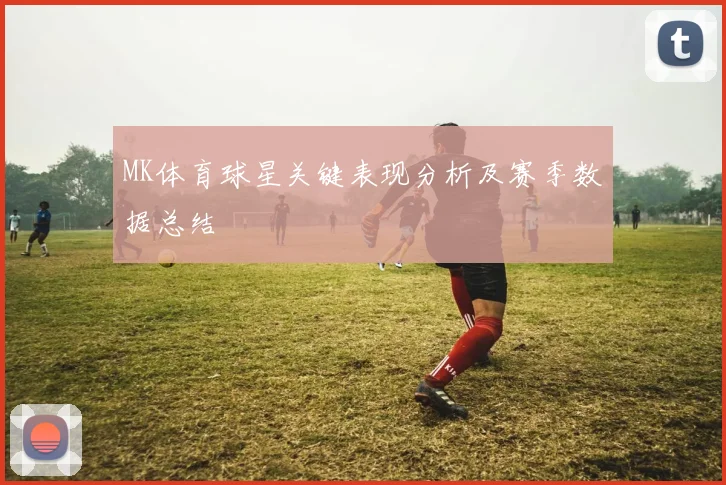 MK体育球星关键表现分析及赛季数据总结