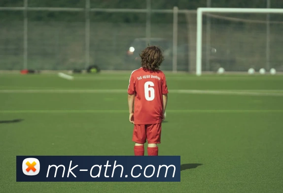 MK体育平台展示图